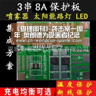 《查理周刊》袭击案一周年 奥朗德为受害者纪念碑揭幕:爱游戏棋牌(图4) 爱游戏直播