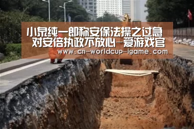 小泉纯一郎称安保法操之过急 对安倍执政不放心-爱游戏官网(图3) 爱游戏棋牌
