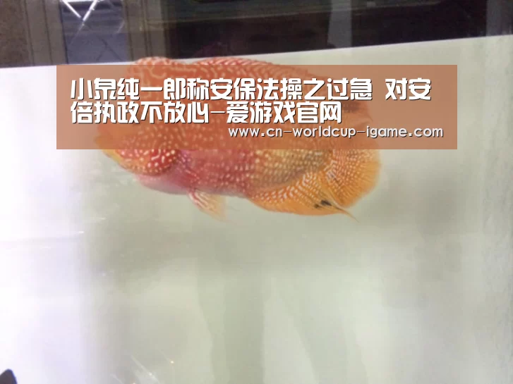 小泉纯一郎称安保法操之过急 对安倍执政不放心-爱游戏官网