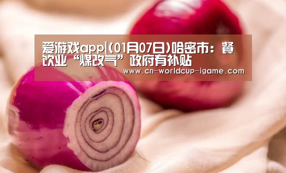 爱游戏app|(01月07日)哈密市:餐饮业“煤改气”政府有补贴