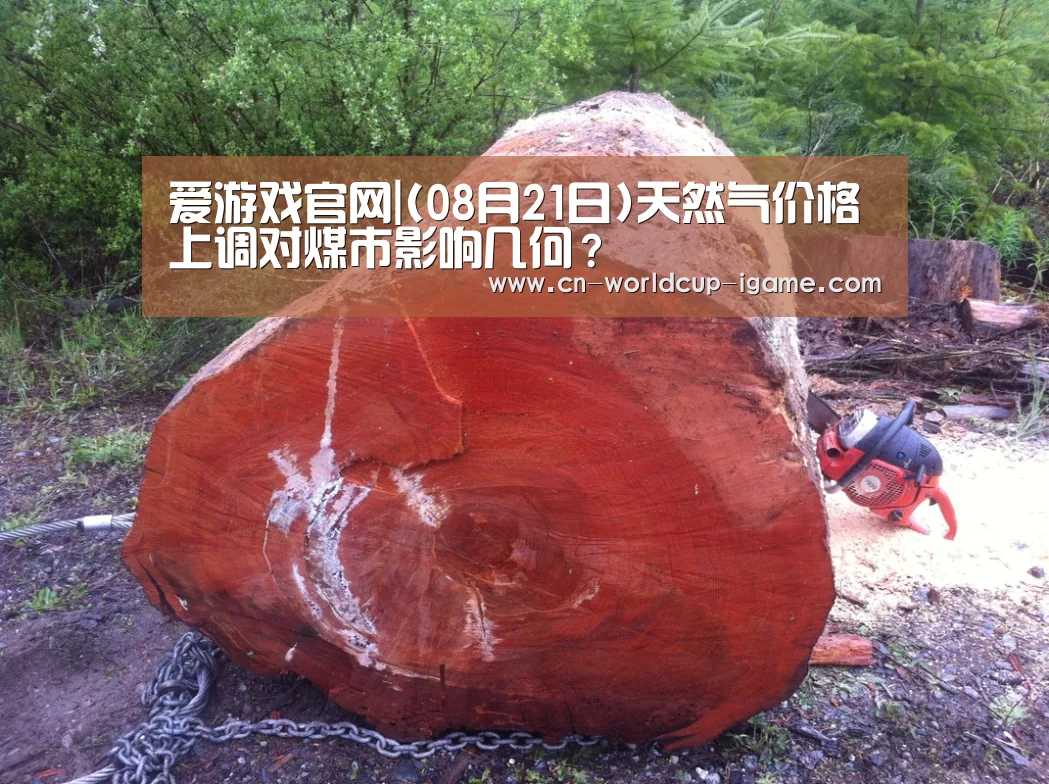 爱游戏官网