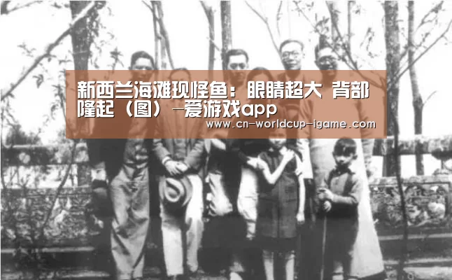 新西兰海滩现怪鱼:眼睛超大 背部隆起(图)-爱游戏app(图2) 爱游戏app