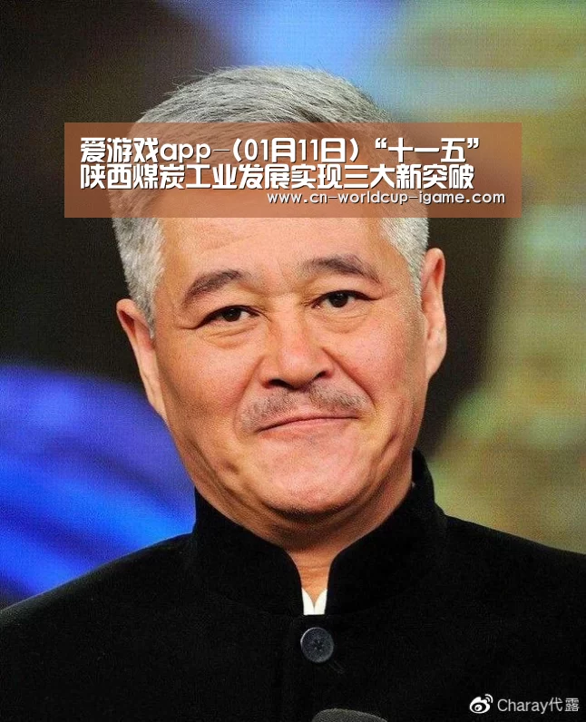 爱游戏app-(01月11日)“十一五”陕西煤炭工业发展实现三大新突破