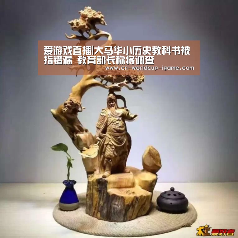 爱游戏直播|大马华小历史教科书被指错漏 教育部长称将调查(图2) 爱游戏棋牌